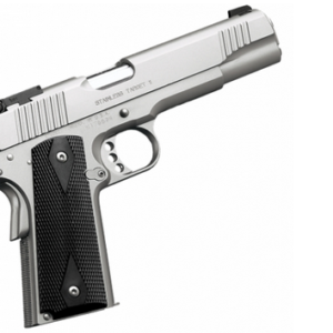 Kimber 3200107 Stainless Target II 8+1 10mm 5″