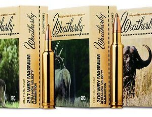 Weatherby 270WBY 130 BTS 20 – Ammo