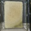 5-MeO-DMT N-N DMT